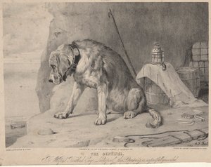 Sentinel od Arthur Fitzwilliam Tait