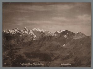 Gezicht op de Gspaltenhorn, de Blüemlisalp en de Schilthorn in de Berner Alpen Panorama der Jungfraukette (series title)   1371937   cs       czech Successfully Translated  Original: The Duke Translat: The Duke 1237934 cs czech Successfully Translated Orig