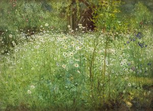 Oxeye Daisies and Irises, 1920 od Arthur Hacker