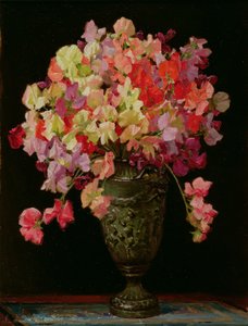 Sweetpeas, Letní radovánky, 1930 (deska)