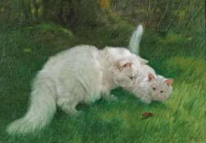 Arthur Heyer Zajímavý objev z roku 1923 od Arthur Heyer