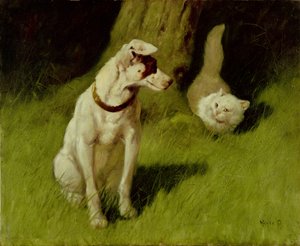 Bílá perská kočka a Jack Russell