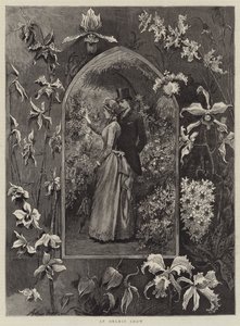 Výstava orchidejí od Arthur Hopkins