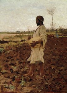 Egyptský rozsévač, 1881