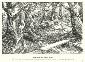 Sport v New Forest (litografie)