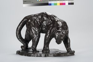 Velká Puma Vonící Ox Track od Arthur Putnam