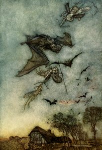 Sen noci svatojánské od Arthur Rackham