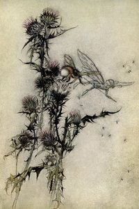 Sen noci svatojánské od Arthur Rackham