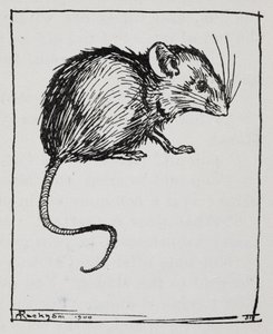Myš od Arthur Rackham