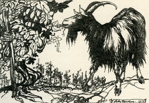 Ezopovy bajky od Arthur Rackham