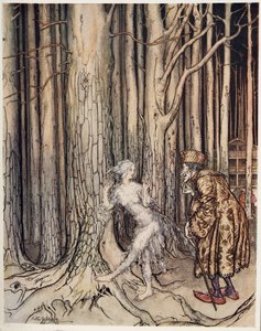 Fitchers Bird, od bratříčka a sestřičky a jiné příběhy bratří Grimmů, pub. 1917 od Arthur Rackham