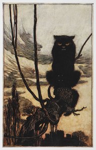 Ilustrace od Jorindy a Joringela černé kočky. od Arthur Rackham