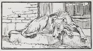 Ilustrace ze starého sultána psa. od Arthur Rackham