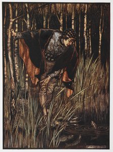Ilustrace mládí u rybníka z Bílého hada. od Arthur Rackham