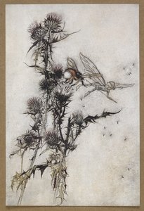 Zabij mi včelu s červenými boky na vrcholu bodláku." Scéna ze „Snu noci svatojánské“. od Arthur Rackham