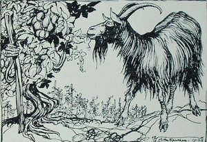 Koza a réva, ilustrace z 