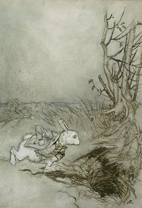 Bílý králík, ilustrace z 