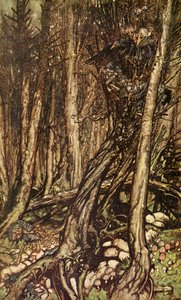 Undine od Friedricha de la Motte Fouqué od Arthur Rackham