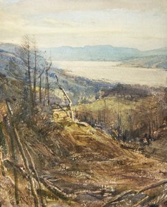 Coniston od Tarn Hows (akvarel)