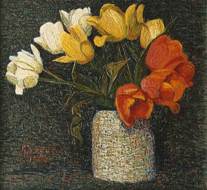 tulipán; tulipány