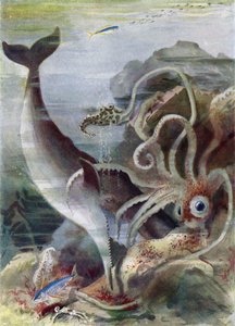 A Sperm Whale Attacking a Giant Squid