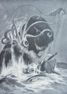 Kraken vs. Vorvaně