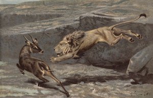 Noční útok (chromolit) od Arthur Wardle