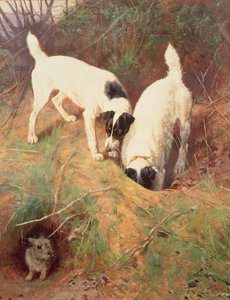 Někdo doma? od Arthur Wardle