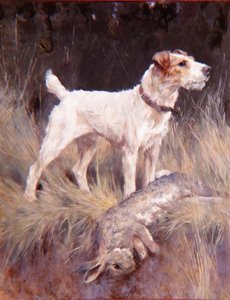 Realizace od Arthur Wardle