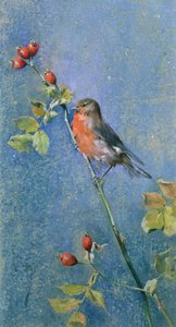 Robin na větvi od Arthur Wardle