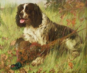 Springer Spaniel s Bažantem od Arthur Wardle