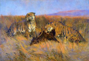 Tigers at Kill (olej na plátně) od Arthur Wardle