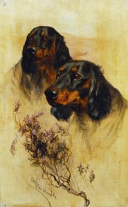 Dva Gordonsetři (olej na plátně) od Arthur Wardle