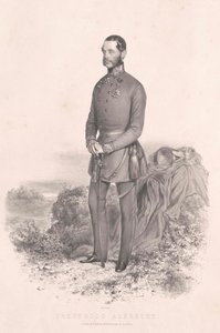 Rakouský arcivévoda (1817-1895) Albrecht od Artist Unknown