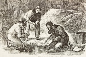 Austrálie (1880). Život zlatokopů v Botany Bay (založeno v roce 1788). Rytina. Soukromá sbírka od Artist Unknown