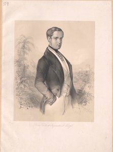 Brazilský císař Petr II. od Artist Unknown