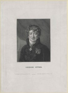Georg Cuvier (tisk) od Artist Unknown