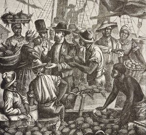 Dějiny Anglie (C19th). Kolonizace (1880). Bahama prodává ananasy. Anglická kolonie na ostrově New Providence. Ananasy byly jedním z produktů na vývoz z přístavu Nassau, nejdůležitější. Rytina. Soukromá sbírka od Artist Unknown