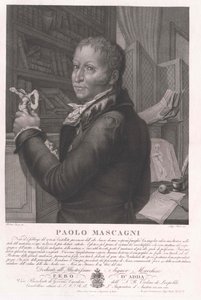 Paolo Mascagni od Artist Unknown