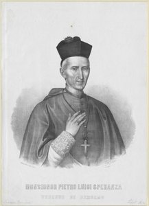 Pietro Luigi Speranza od Artist Unknown