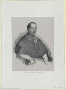 Wilhelm baron Schneeburg na Salthaus a disk od Artist Unknown