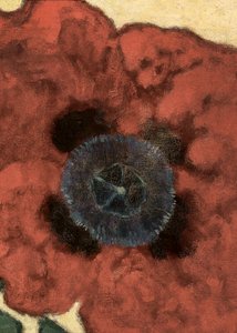 Artur Nikodem Poppy Flower od Artur Nikodem