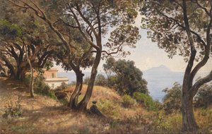 Ascan Lutteroth jižní pohled 1889