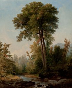 Přírodní monarcha od Asher Brown Durand