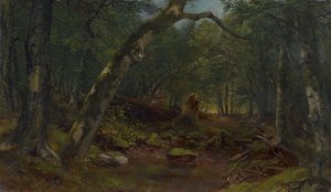 Umělecká ulička po přeháňce od Asher Brown Durand