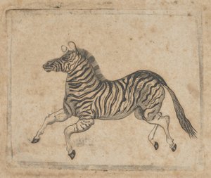 Bankovka viněta zobrazující zebru, ca. 1824-37.