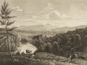 Catskill Mountains od Asher Brown Durand