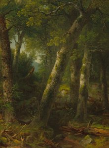 Les v ranním světle od Asher Brown Durand