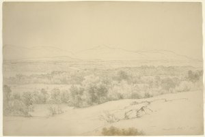 Krajina, Barrytown, New York, 1865 (grafit s tupováním na hnědém papíře)