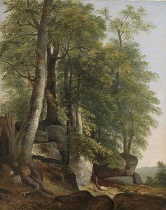 Krajina se skalami a stromy, c.1845 od Asher Brown Durand